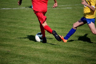 华体会app-意甲国家队比赛后俱乐部球员适应机制研究，意甲 球员