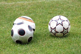 华体会app下载-基层足球发展资金紧张，基层足球发展资金紧张的原因