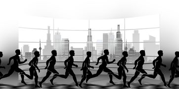 华体会官网-青少年赛事结构未形成体系化,青少年竞赛应回归本位